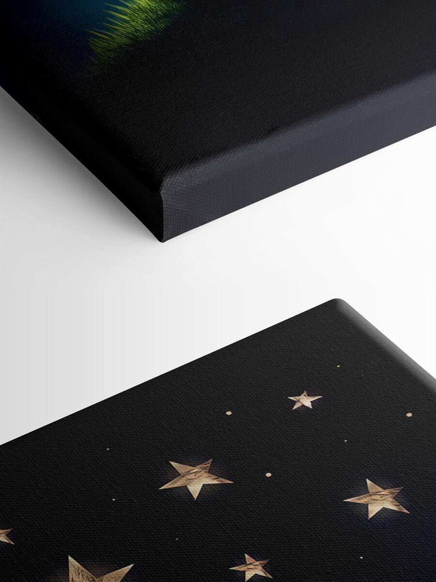 Tableaux Un renard et un petit prince qui regardent les étoiles – Image 6