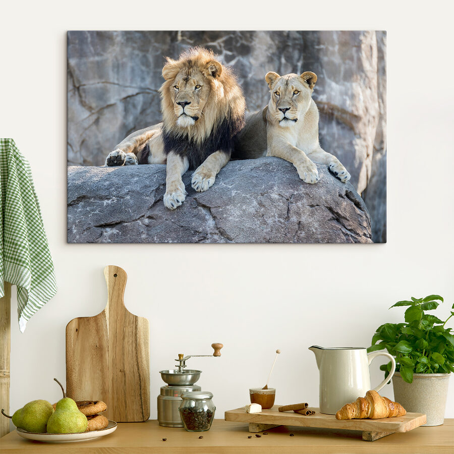 Un couple de lions couché sur un rocher