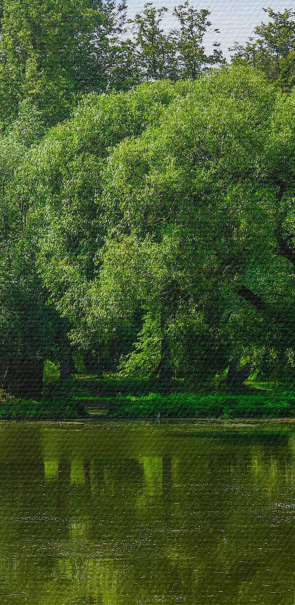 Une fenêtre avec un lac et des arbres Une fenêtre avec un lac et des arbres