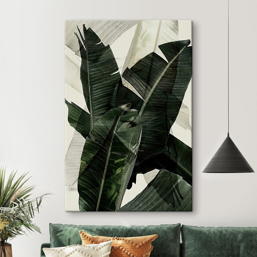 Gros plan sur une plante Gros plan sur une plante