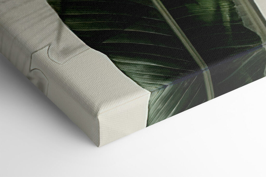 A close up of a plant