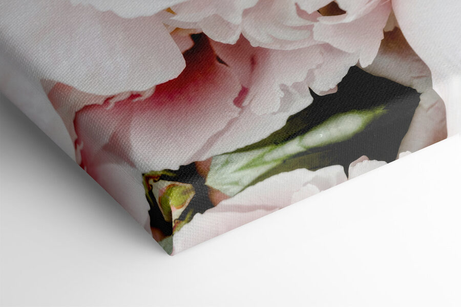 Tableaux Un groupe de fleurs roses – Image 6