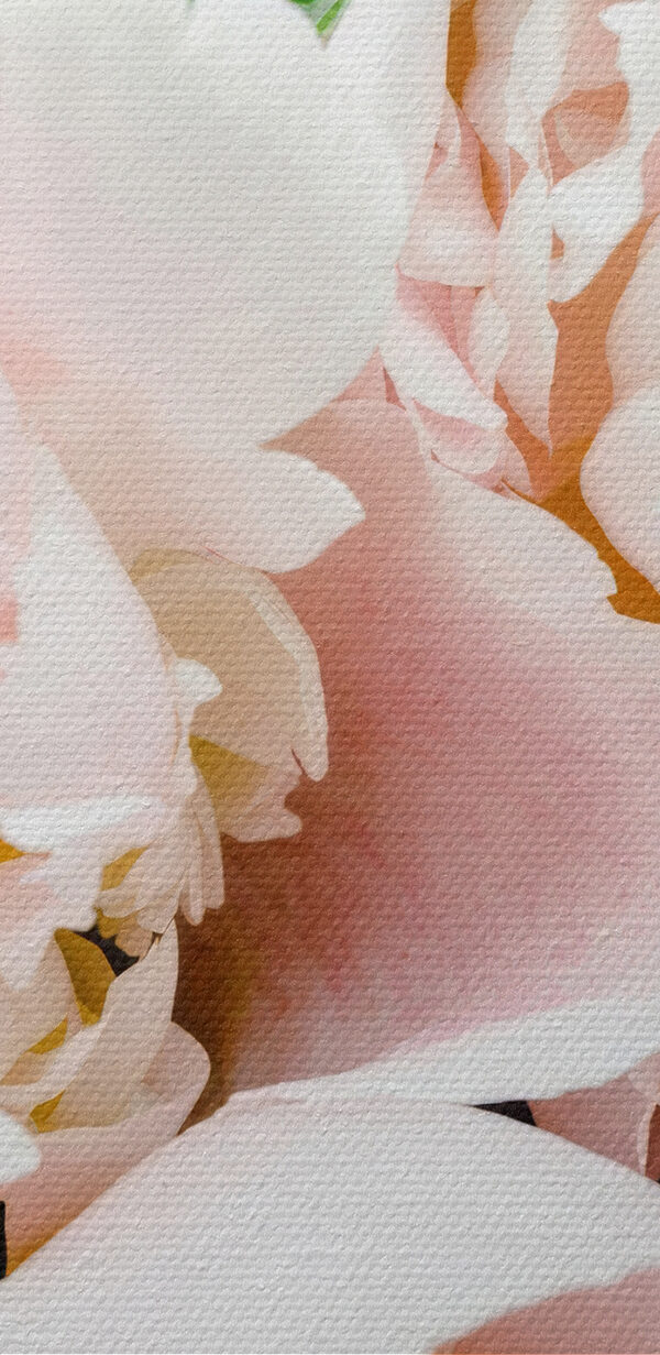 Un groupe de fleurs roses Un groupe de fleurs roses