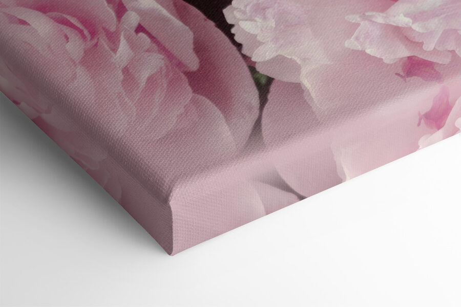 Un groupe de fleurs roses