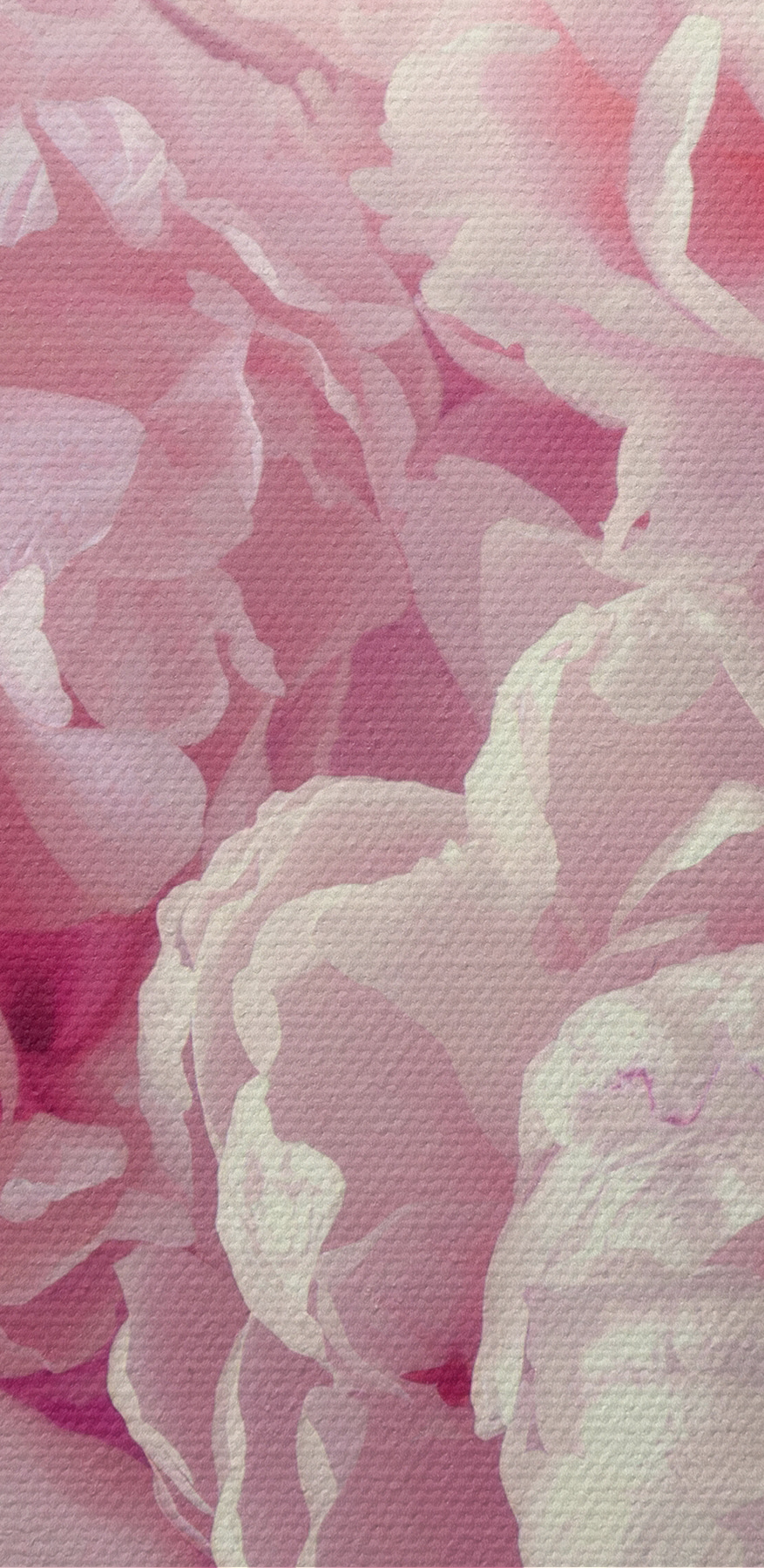 Un groupe de fleurs roses