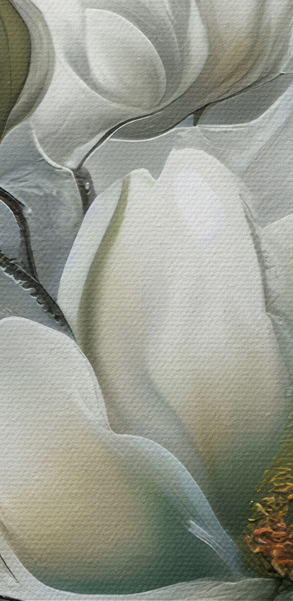 Un tableau de fleurs blanches Un tableau de fleurs blanches