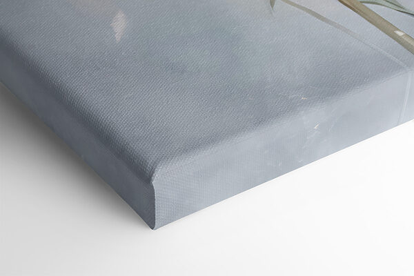 A group of dandelions in a field