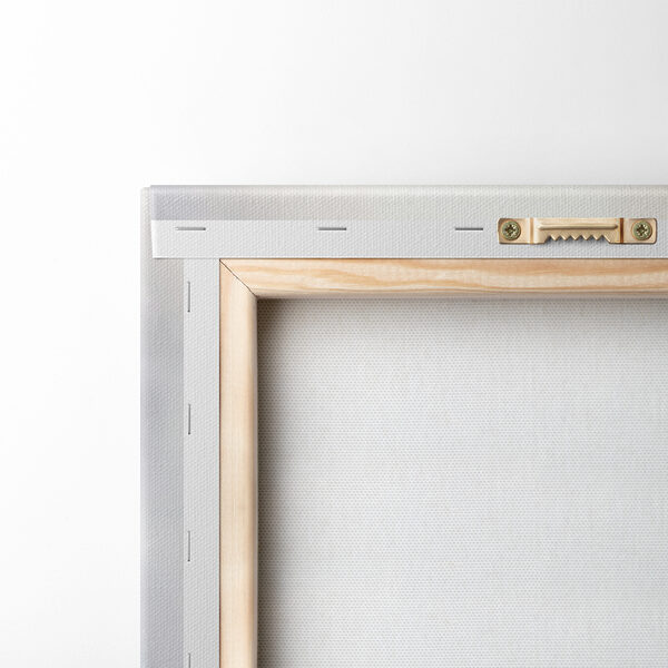 A group of dandelions in a field