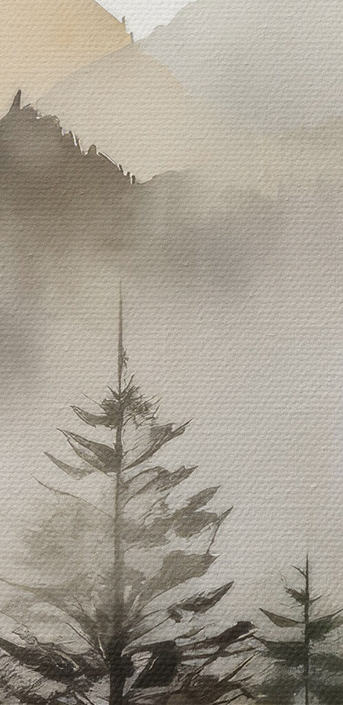 A foggy mountain range with trees A foggy mountain range with trees