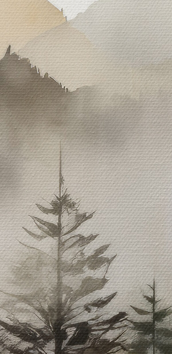 A foggy mountain range with trees A foggy mountain range with trees