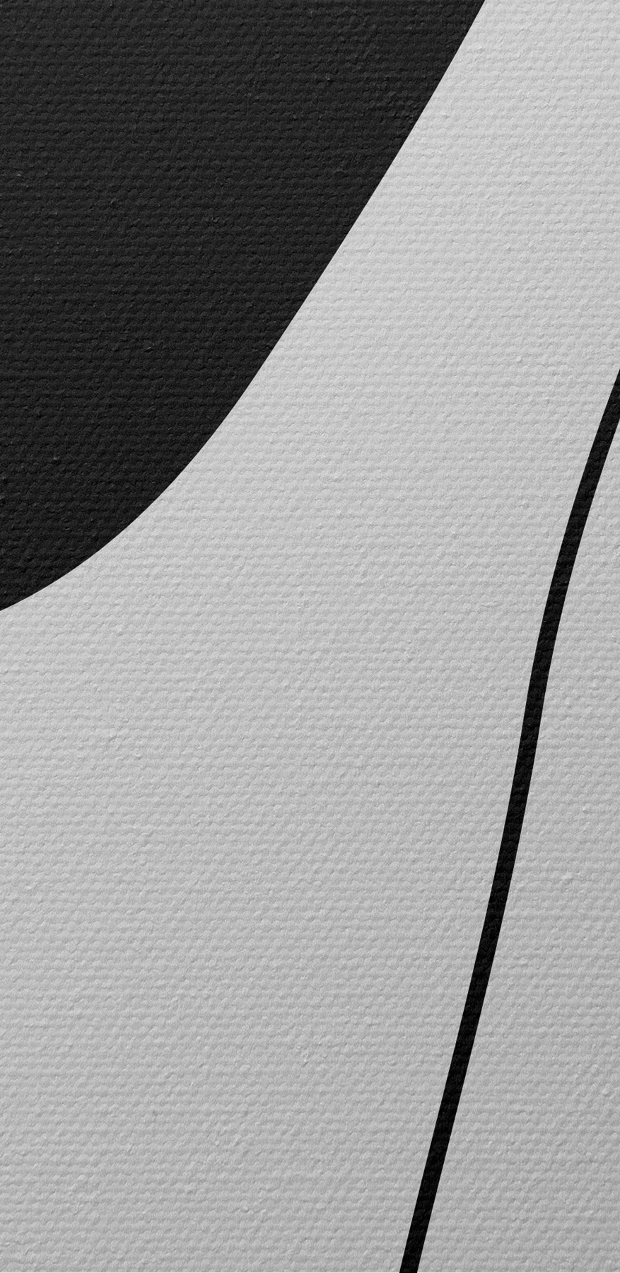 Image en noir et blanc d'un collier Image en noir et blanc d'un collier