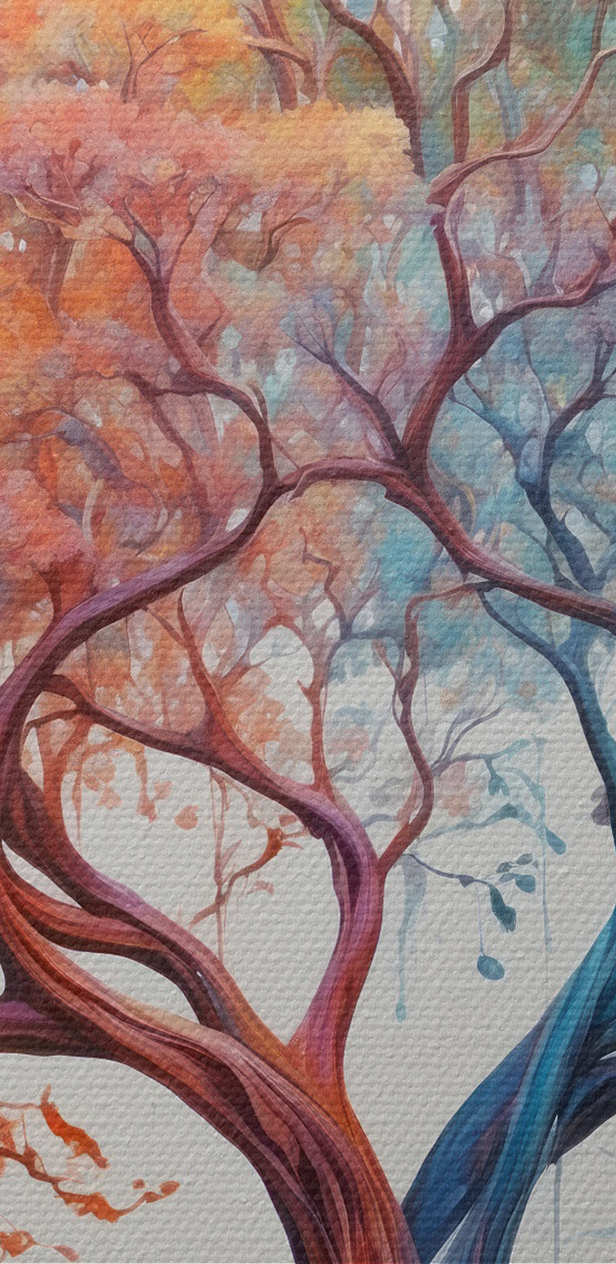 Un arbre avec des feuilles de différentes couleurs Un arbre avec des feuilles de différentes couleurs