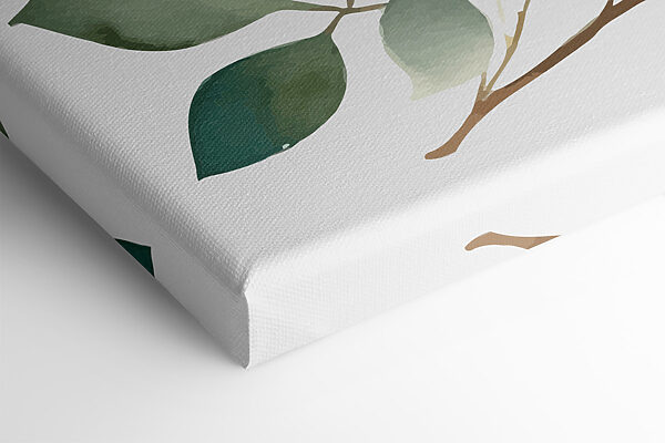 Une aquarelle de feuilles Une aquarelle de feuilles