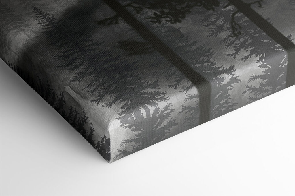 A group of trees in the fog