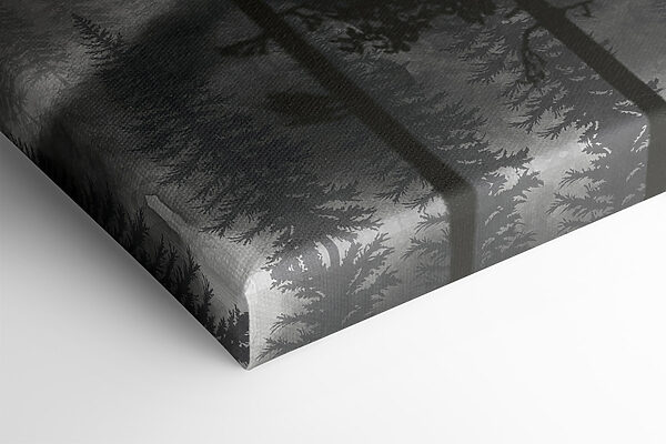 A group of trees in the fog