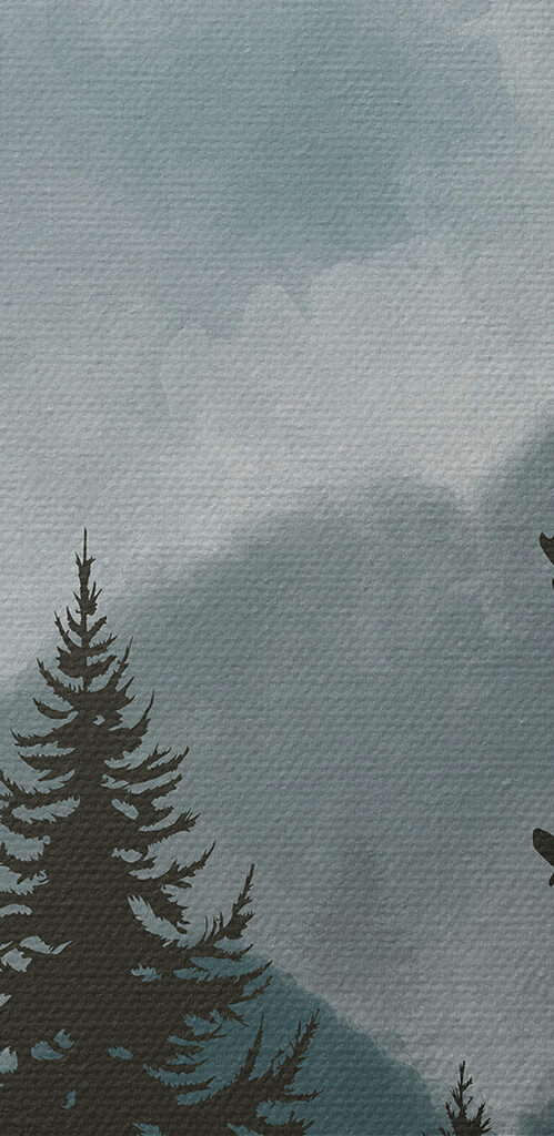 A group of trees in a forest A group of trees in a forest