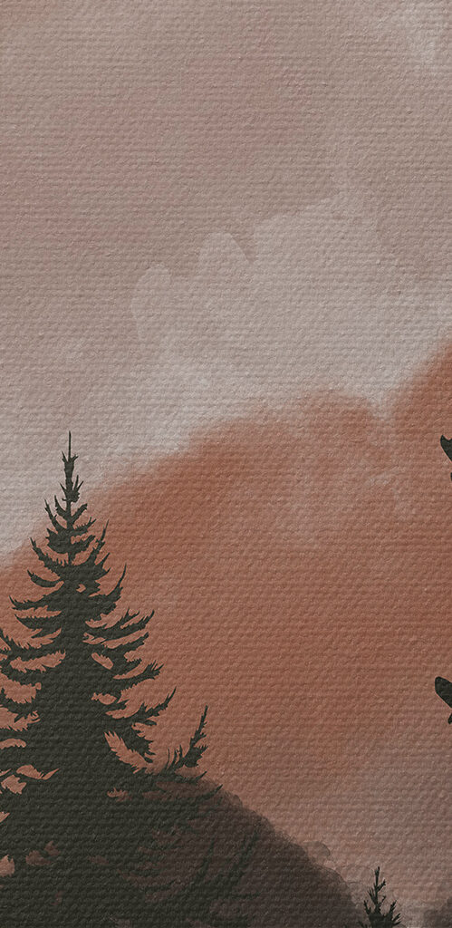 A group of trees in a forest