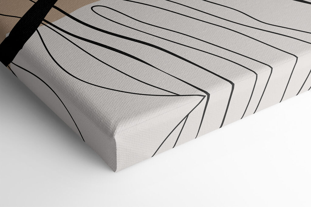 A close up of a leaf