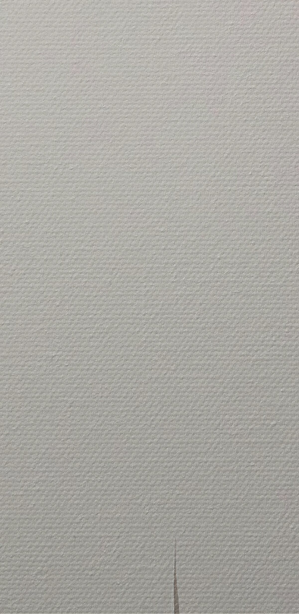 Une œuvre d'art en noir et blanc Une œuvre d'art en noir et blanc