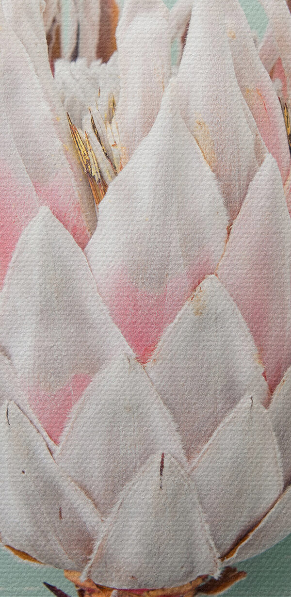 Une fleur sur un bâton Une fleur sur un bâton