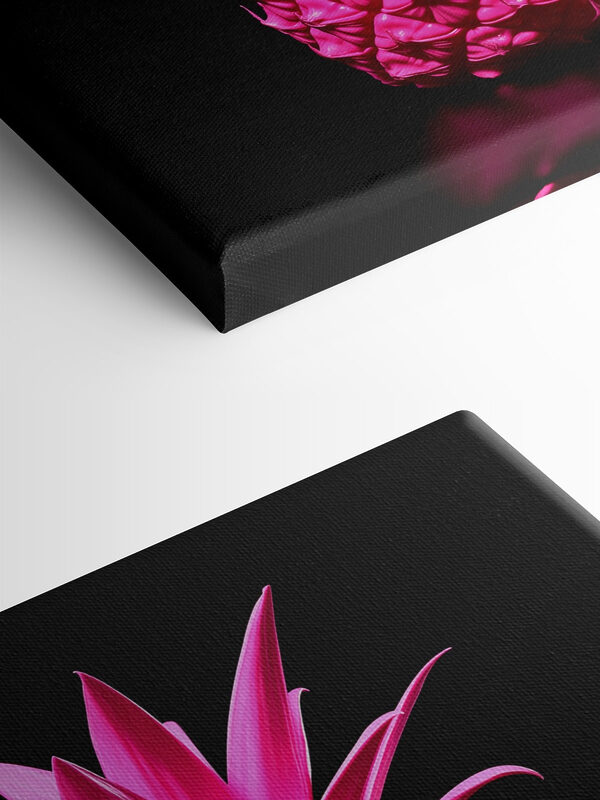 Ananas rose sur fond noir Ananas rose sur fond noir