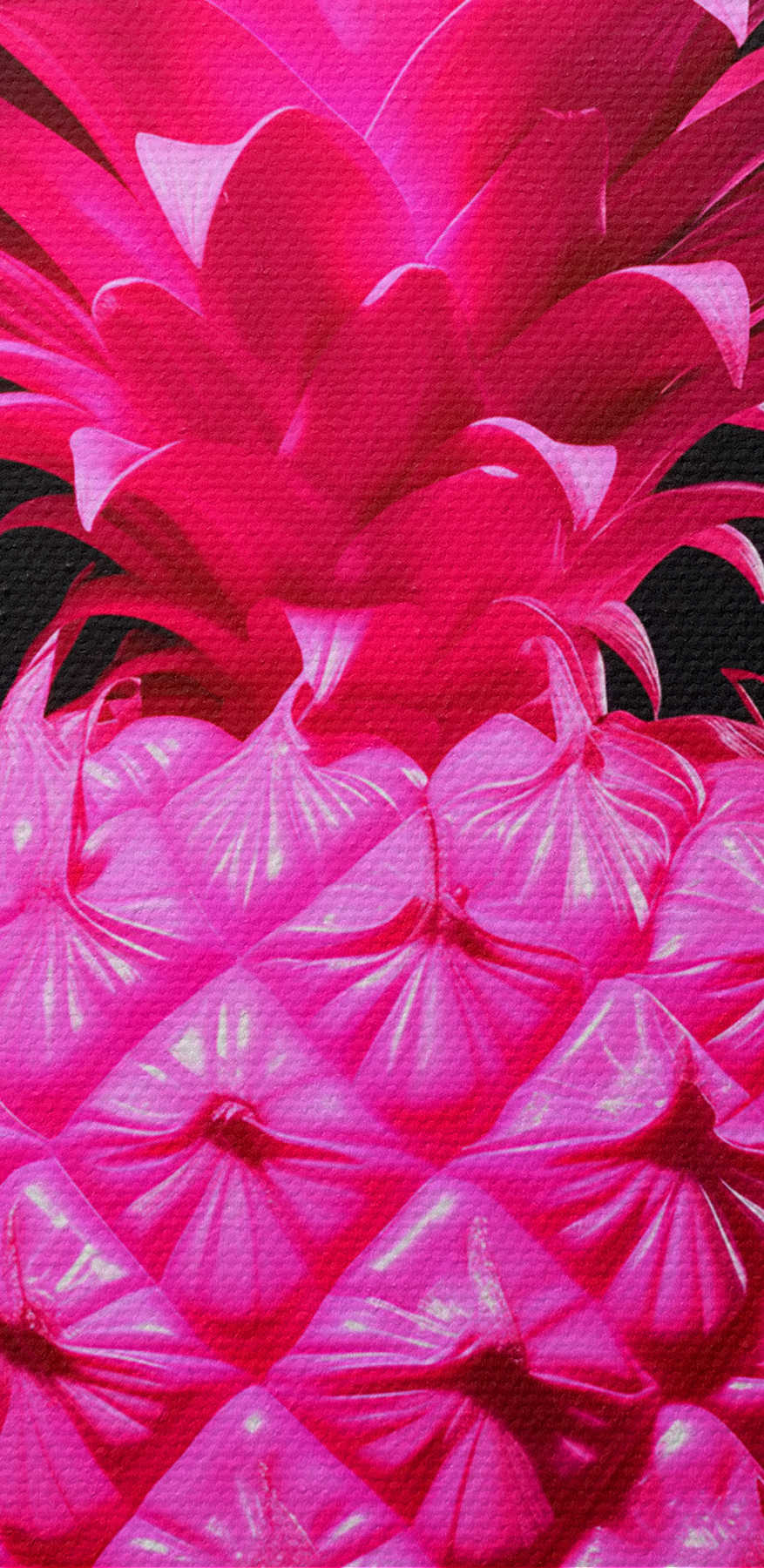 Ananas rose sur fond noir Ananas rose sur fond noir