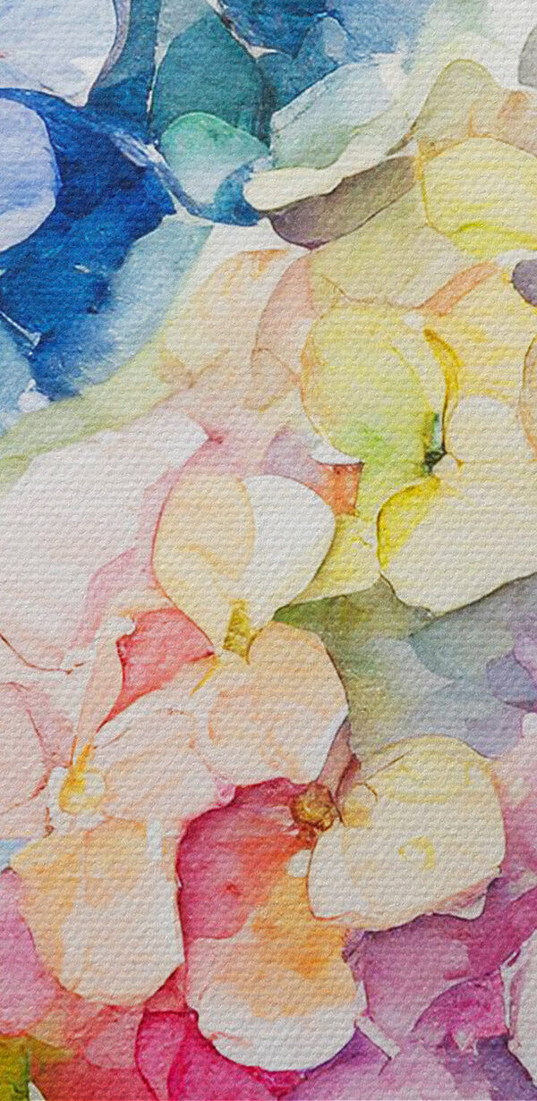 Une aquarelle de fleurs Une aquarelle de fleurs