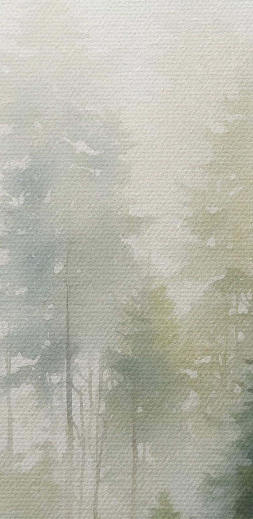 Une aquarelle d'une forêt Une aquarelle d'une forêt
