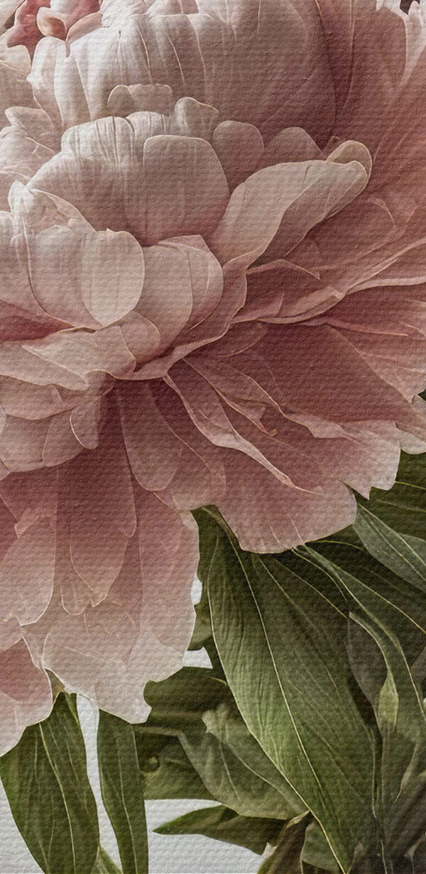 Un vase de fleurs roses et blanches Un vase de fleurs roses et blanches