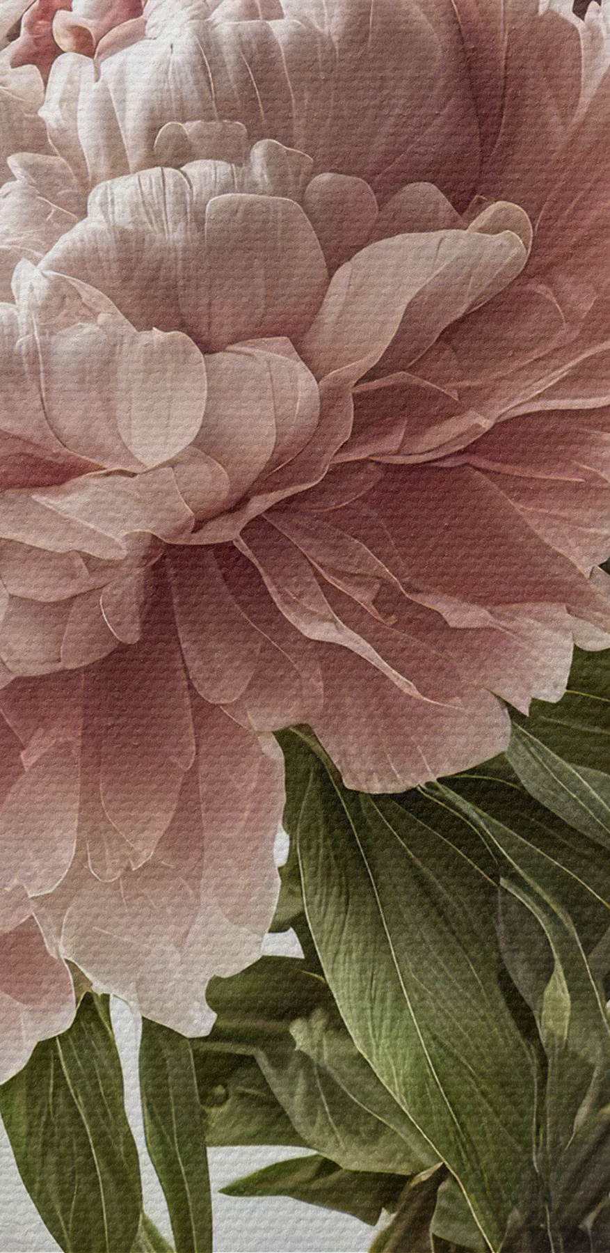 Un vase de fleurs roses et blanches