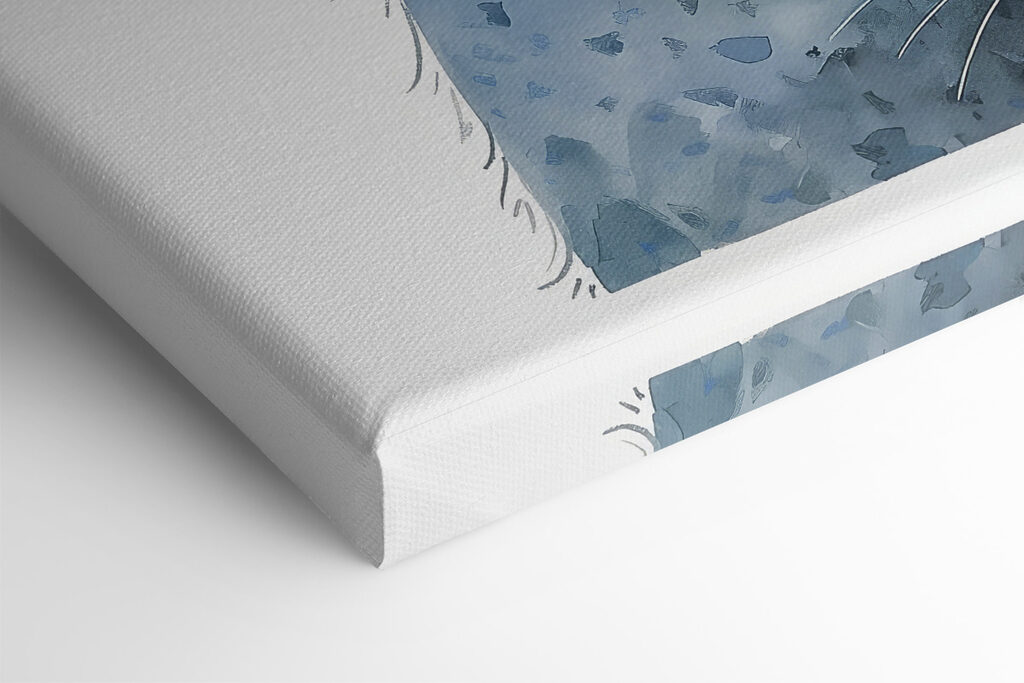 A cat and a cat A cat and a cat