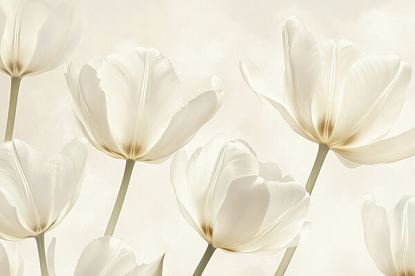 Groupe de fleurs blanches Groupe de fleurs blanches