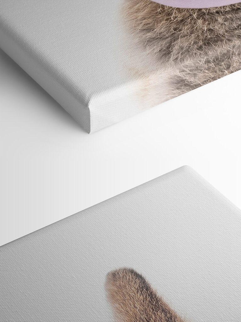 A rabbit with a bubble gum