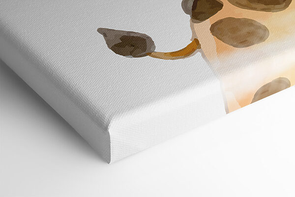 Une girafe sur fond blanc Une girafe sur fond blanc