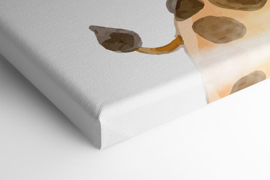 Une girafe sur fond blanc