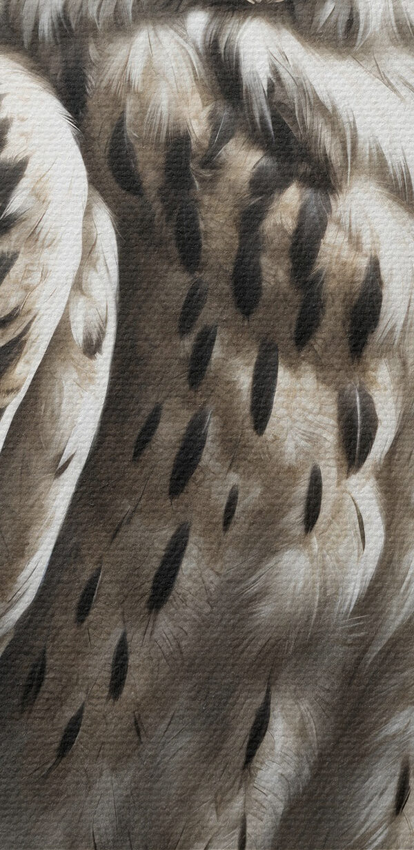 Peinture d'un hibou Peinture d'un hibou