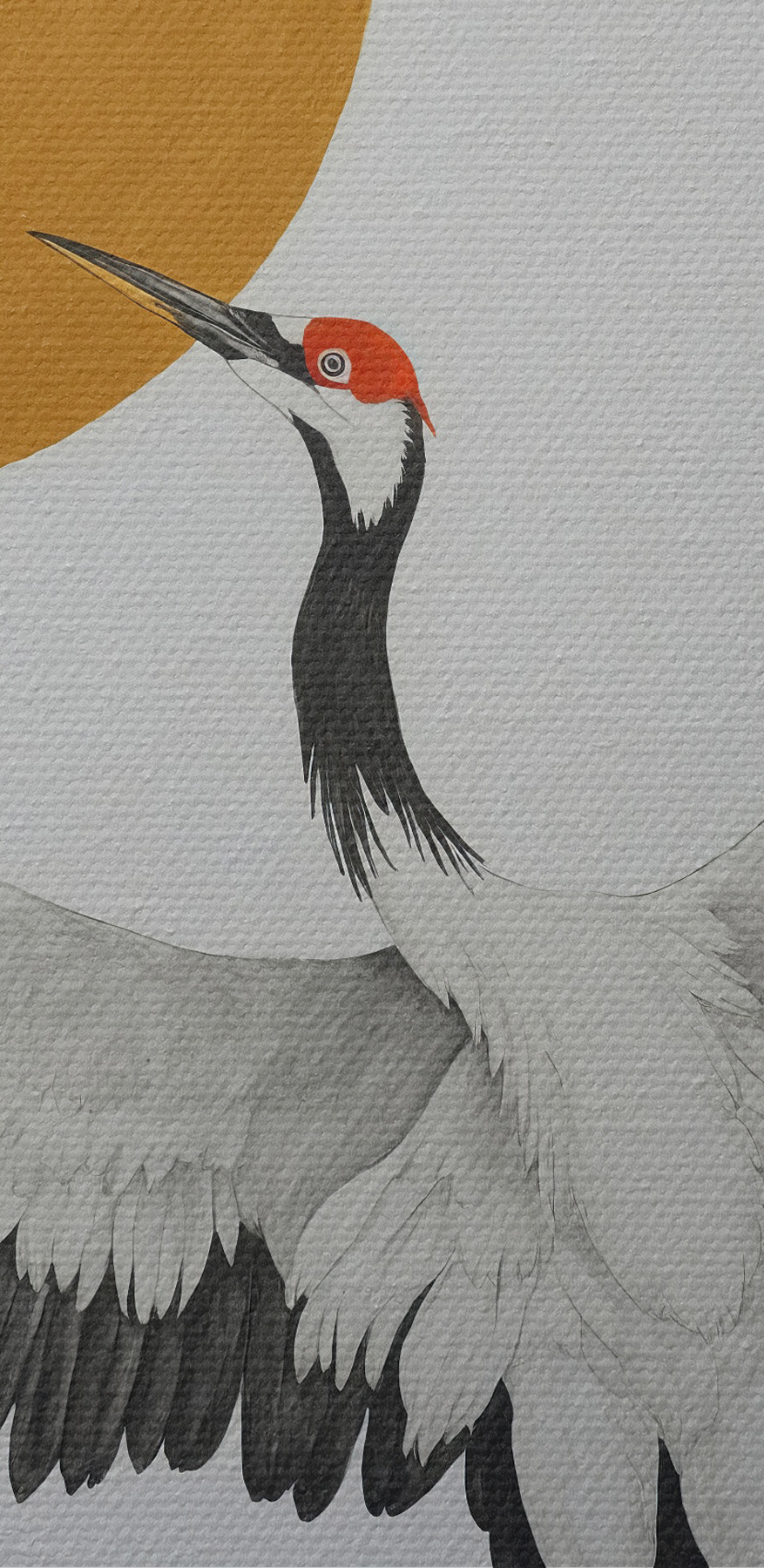La grue danse sous un soleil radieux. La grue danse sous un soleil radieux.