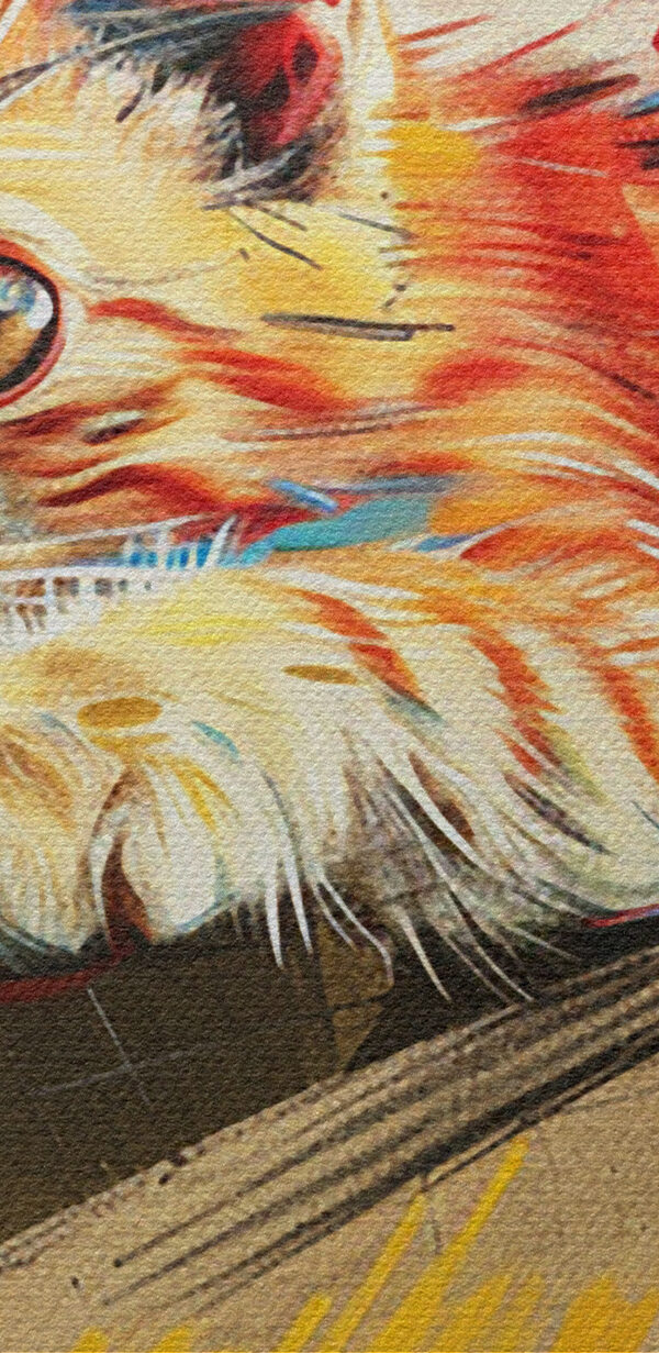 Un chat couché sur une boîte Un chat couché sur une boîte