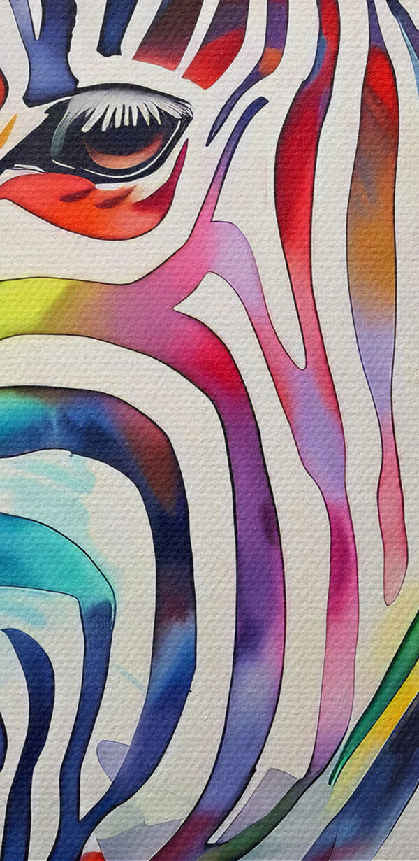 Un zèbre coloré aux couleurs de l'arc-en-ciel Un zèbre coloré aux couleurs de l'arc-en-ciel
