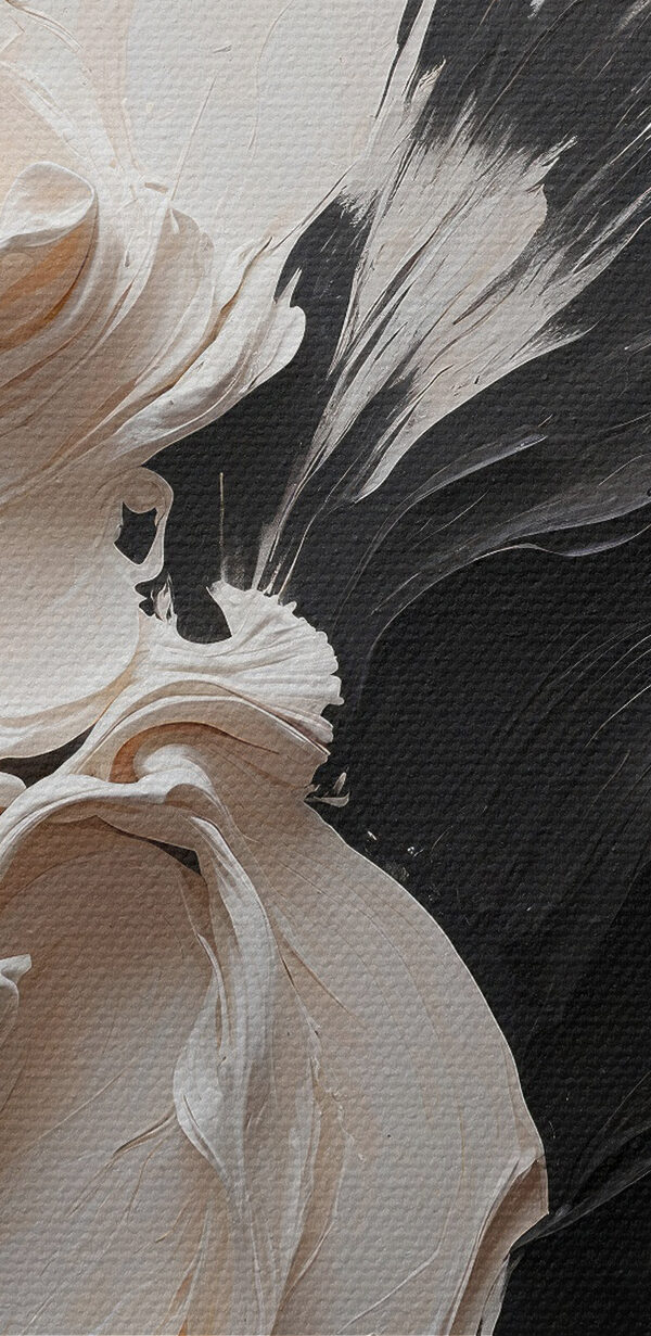 Une peinture noire et blanche Une peinture noire et blanche