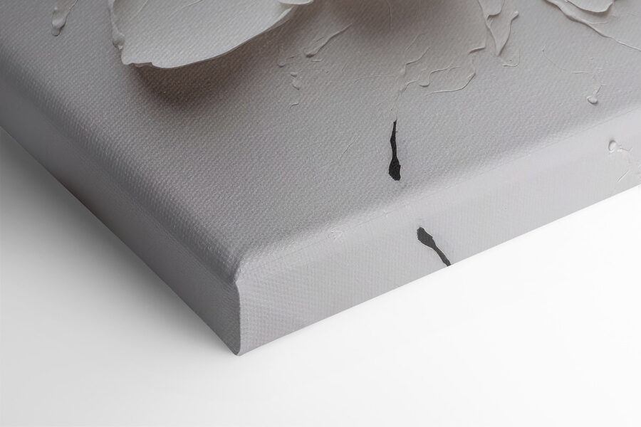 Une fleur blanche avec de la peinture noire Une fleur blanche avec de la peinture noire