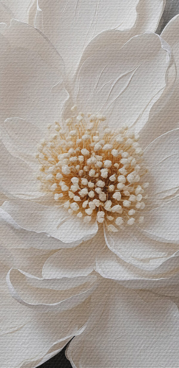Une fleur blanche avec des feuilles noires et grises Une fleur blanche avec des feuilles noires et grises