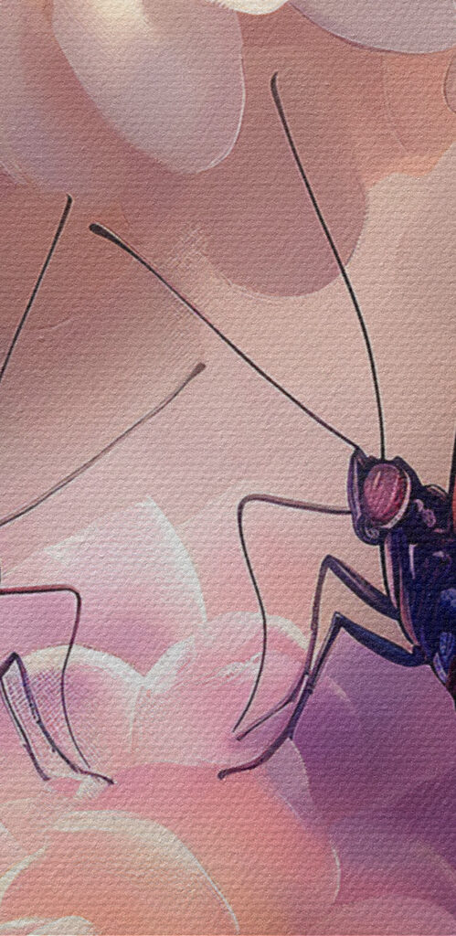 Two butterflies on a flower Two butterflies on a flower