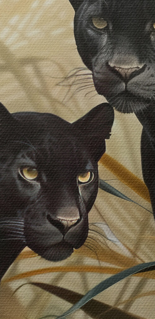 Two black tigers in the jungle