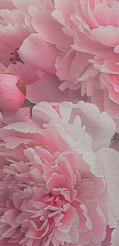 A bunch of pink flowers A bunch of pink flowers