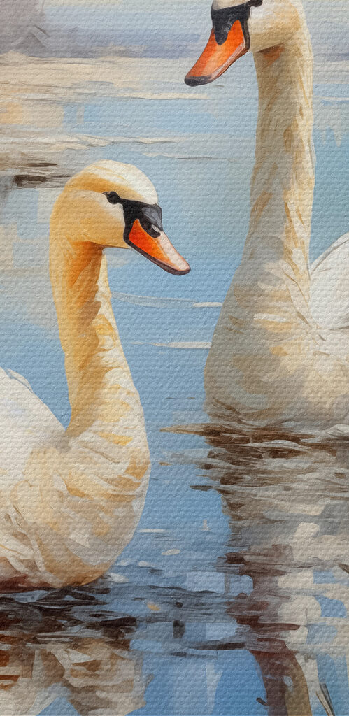Two swans in a lake Two swans in a lake