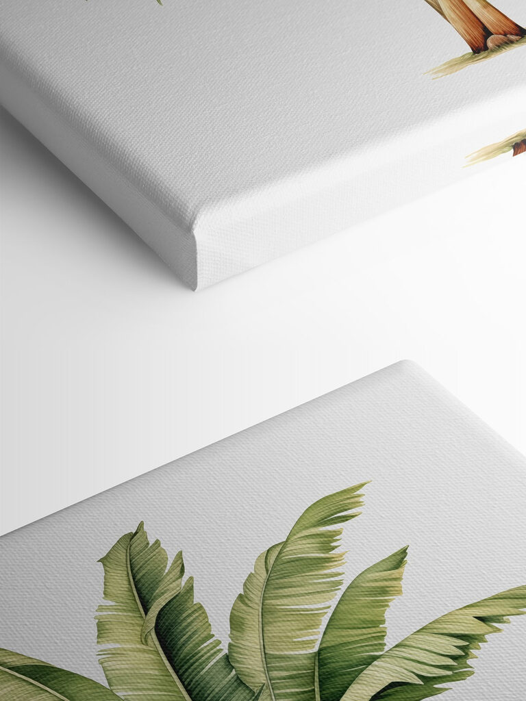 Palm tree with large leaves