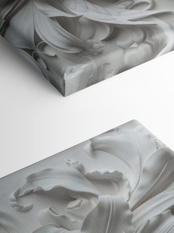 Fleur blanche sur une surface blanche Fleur blanche sur une surface blanche