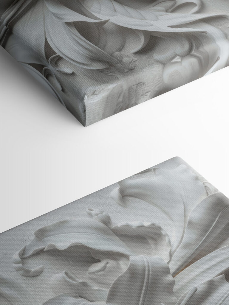 White flower on a white surface