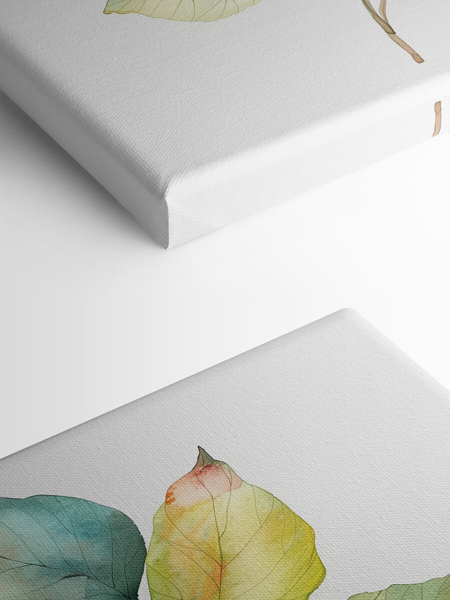 Aquarelle d'une feuille